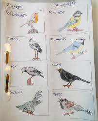 Die Ersten Und Zweiten Klassen Sollten Zug Und Standvogel Nach Einer Echtfotografie Ausmalen Die Meisten Zugvogel Vogel Im Winter Sachunterricht Grundschule September 10 at 1:26 am ·. sachunterricht grundschule