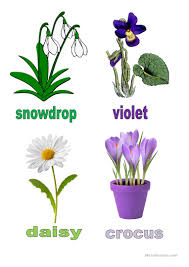 Spring flowers on green background. Spring Flowers English Esl Worksheets For Distance Learning And Physical Classrooms