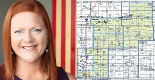 Democrat Tracy Freese Will Have Head Start In Race To Replace Dix