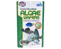 Hikari Info Hikari Tropical Algae Wafers