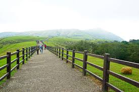 And new taipei's wanli, jinshan and sanzhi districts. é™½æ˜Žå±±å›½å®¶å…¬åœ' å°åŒ—è¦³å…‰ã‚µã‚¤ãƒˆ