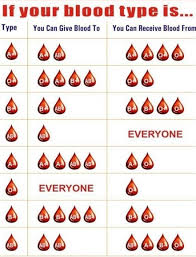 easy blood type chart album on imgur