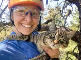 Canopy Cat Rescue added a new photo —...