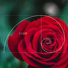 That is the, to be, or not to be, question of all word games. The Golden Ratio What It Is And How To Use It In Design