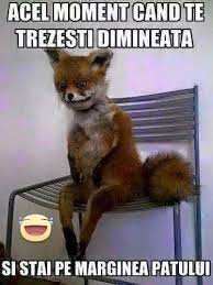 Această relație a început după despărțirea. Simona Florescu Asimonaflorescu Twitter