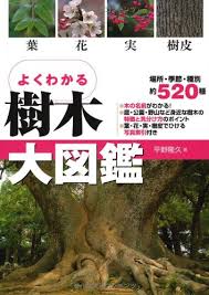 よくわかる樹木大図鑑 葉 花 実 樹皮 平野 隆久 本 通販 Amazon