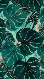 Ios13wallpaper Ios13wallpaper Ios13wallpaper Tropical Wallpaper Green Wallpaper Iphone Background Wallpaper