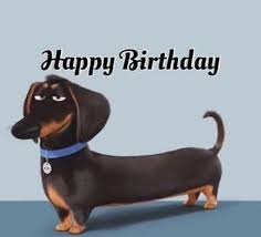Pin Di Teresa Fitzgerald Su Everything Hot Dog Cane Bassotto Auguri Di Compleanno Bassotto