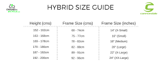 24 Complete Cannondale Apparel Size Chart