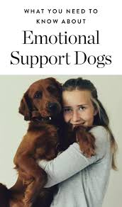 Pin On Puppies