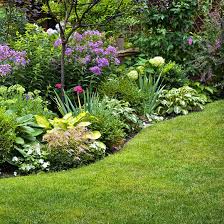 Epingle Sur Vers Blancs Jardin