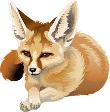 Fennec Fox By Silvercrossfox Deviantart Com On Deviantart Fox Nursery Art Animal Drawings Pretty Animals