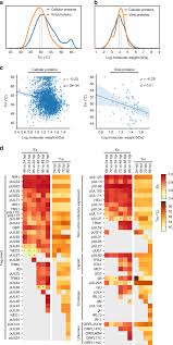 Road ahead curves gradually sign. Temporal Dynamics Of Protein Complex Formation And Dissociation During Human Cytomegalovirus Infection Nature Communications