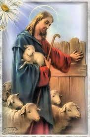In Our Daily Work Let Us Practice Charity Affection And Humility Through The Accomplishment Of Christ The Good Shepherd Jesus Christ Images The Good Shepherd