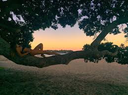 Por Que Nueva Zelanda Es El Mejor Pais Del Mundo