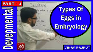 Cleavage In Egg Early Embryonic Development Developmental Biology For Csir Vinay Rajput Youtube A critical division in opinion, beliefs, interests, etc., as leading to opposition between two groups: cleavage in egg early embryonic