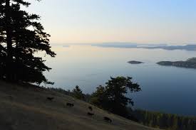 We did not find results for: Seeing Out Summer On Saturna Island Soleseeking
