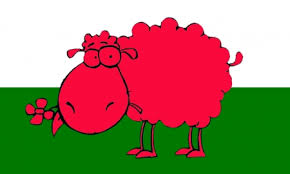 Welsh rarebit.but what makes this snack different from cheese on toast? Welsh Flag Other Abstract Background Wallpapers On Desktop Nexus Image 2104906