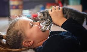 Willow Creek Animal Sanctuary