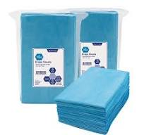 MED PRIDE Disposable Drape Sheets 50-Pack – 2-Ply Leakproof Medical Drape  Sheets for Massage, Spa & Exam Tables – Disposable Bed Covers for Clinics
