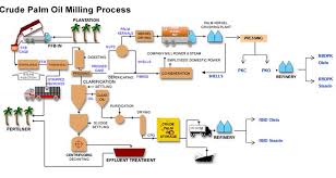 Crude Palm Oil Process Chart Palm Oil Palm Plant Palm