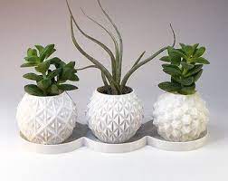 Shop our best selection of garden planters & outdoor plant pots to reflect your style and inspire your outdoor space. Pin By Emma Glynn On Indoor Plants In 2021 Small Indoor Plants Indoor Plant Pots Small Potted Plants