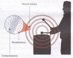 We did not find results for: How Does Sound Travel A Plus Topper