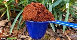 8 Anwendungen Fur Kaffeesatz Im Garten Bitte Nicht Wegwerfen Kaffeesatz Hinterhof Gemusegarten Garten Bepflanzen