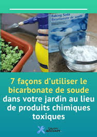 Catherine delvaux, rédactrice en chef de détente jardin, présente les multiples utilisations du bicarbonate de soude au jardin et dans la maison. 7 Facons D Utiliser Le Bicarbonate De Soude Dans Votre Jardin Au Lieu De Produits Chimiques Toxiques Hand Soap Bottle Soap Bottle Insecticide
