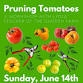 Tomato Pruning Workshop with Lydia Fischer