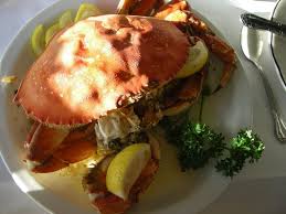Последние твиты от pier 39 (@pier39). Good Restaurant On Pier 39 Review Of Swiss Louis Italian Restaurant San Francisco Ca Tripadvisor