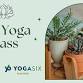Free Pop-Up Yoga Class @ The PlantHouse event image