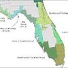 St petersburg, tampa, miami, miami beach and panama city. 1