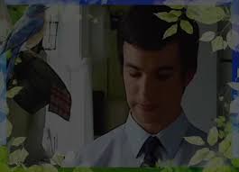 Nathan Fielder Bro Zone