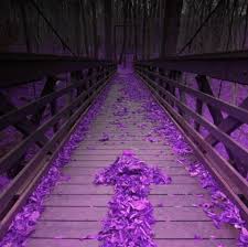 Purple means i will trust and love you (army) for a long time. Purple Home Facebook