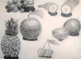 We did not find results for: Still Life Fruit Drawing By Amy Barrow And Sons Luke And Tom Barrow