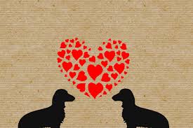 Doggy Love Dachshund Dogs Graphic And Svg File By Zoss Design Thehungryjpeg Com