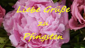 Pfingstgrüße kostenlos versenden schönes pfingstwochenende schöne pfingsten 2020. Liebe Grusse Zu Pfingsten Pfingstgrusse Zum Versenden Youtube