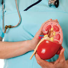 Obat ghensen ginjal seahorse 500mg tab 100s ini mempunyai manfaat diantaranya untuk mengobati badan lemah, letih, lesu adapun cara yang tepat untuk menyimpan obat kejibeling cap btl 60s ini adalah : Vitamin E Aman Untuk Ginjal Benarkah Natur E