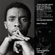Someone has added nippon paint subtitle to the chant and the result is something you can never unheard. Nippon Paint Malaysia Wakanda Forever Chadwick Boseman You Will Always Be Our Hero Rip Rip Chadwickboseman Nipponpaint Blackpanther Facebook