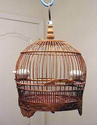 chinese decorative bamboo bird cage bird cage ideas bird cage vintage bird cage