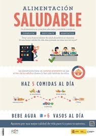 Dieta indicada, alimentos aconsejados y desaconsejados y el porqué de ello. Infografia Sobre La Alimentacion Saludable Mundogamusino El Blog