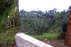 Tanah ngapak merupakan daerah di jawa tengah, yang menggunakan bahasa ngapak dalam kehidupan jangan anggap tanah ngapak hanya terkenal dengan bahasanya yang lucu saja. Gejolak Di Balik Indahnya Panorama Terasering Sawah Ceking Tegalalang Mongabay Co Id