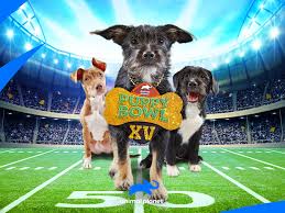 96 puppies will represent 25 states and three international locations: Watch Puppy Bowl Season 15 Prime Video