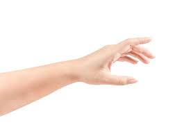 Hand Definition And Meaning Collins English Dictionary