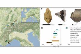 Image result for Loudetia kagerensis