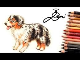 Youtube Dog Drawing Drawings Dogs