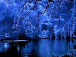 Beautiful Blue Night Sky Lake Nature Tree Scenery Live Wallpaper Blue Garden Scenery Nature | see more hd wallpapers, 3d hd wallpaper love, colorful hd wallpaper stormtrooper, dangerous full hd wallpaper, crazy wallpapers hd 1920x1080, best windows hd wallpaper. night sky lake nature tree scenery