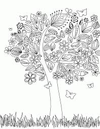We have collected 40+ california state coloring page images of various designs for you to color. California State Tree Coloring Coloring Home