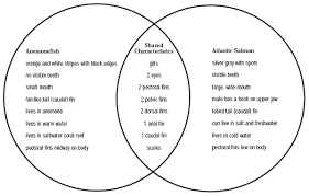 A venn diagram on plant and animal cell science the image information: Baby Wallpapers 2011 Plant And Animal Cell Venn Diagram